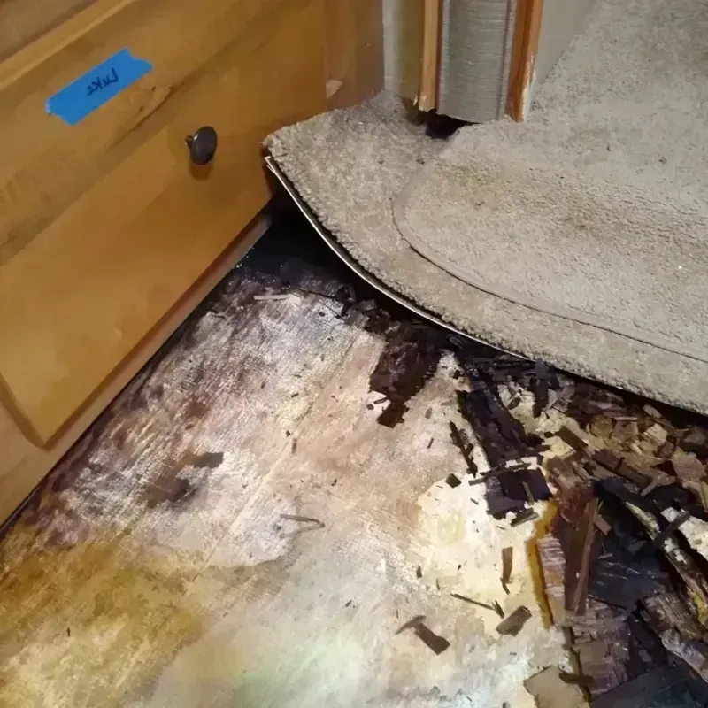 Wood Floor Water Damage in San Miguel County, CO